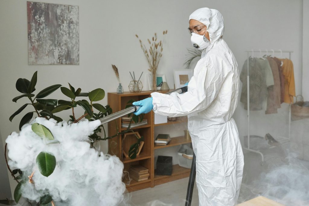 Pest control professional fogging indoor area to prevent mosquito infestation